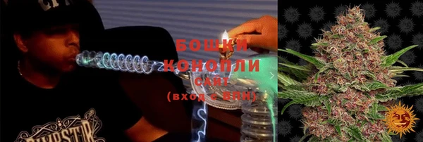 прущие грибы Майский