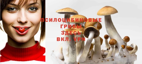таблы Алзамай