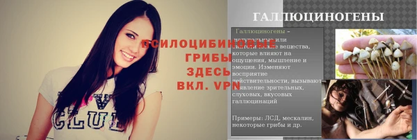 прущие грибы Майский