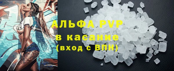 прущие грибы Майский