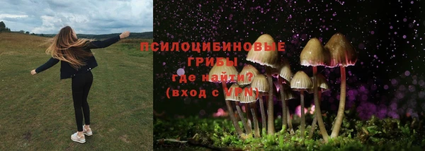 прущие грибы Майский